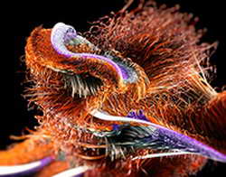 В брянском поселка Климово установят новую стелу на въезде