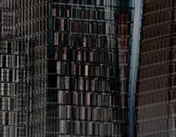 «Покажем Санду наши помидоры!»: более тысячи хозяйств могут обанкротиться в Молдове