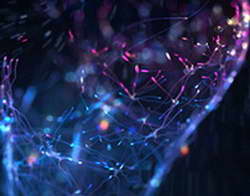 Трамп о возобновлении переговоров с Ираном: «Возможно, в эти выходные»