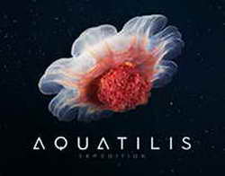 Партнерский канал спецслужб является практически единственным каналом между РФ и Европой - Нарышкин