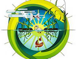 В Майами возобновились американо-российские переговоры по украинскому урегулированию