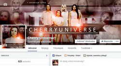 В Брянской области насчитывается 15 ледовых дворцов