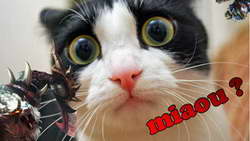 Правительство хочет обязать предустанавливать российский ИИ на смартфоны